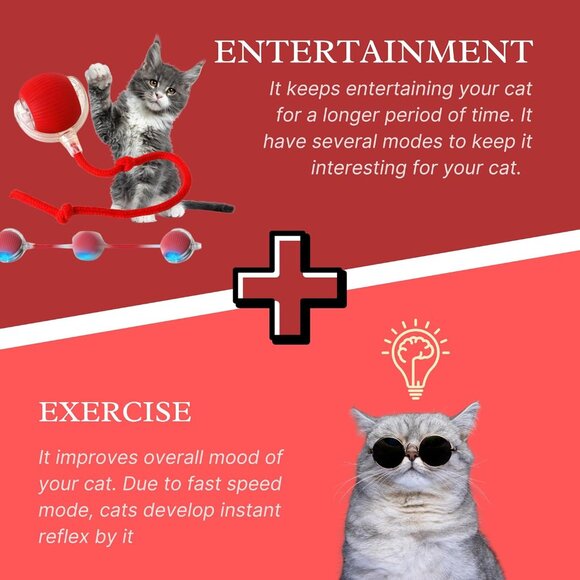 Speedy Tail 2.0 Cat Toy, 360°Automatic Rolling Ball, Smart Interactive Cat Toy, - Picture 3 of 5